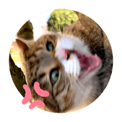 表情豊かなニコちゃんスタンプ