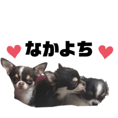 しずく家のもんもんず