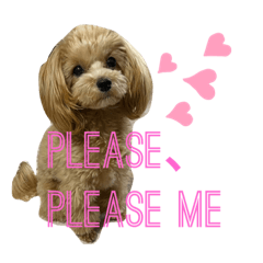 まるぷーかすみはおてんば娘2