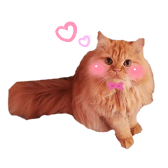 minmin_20220207165637