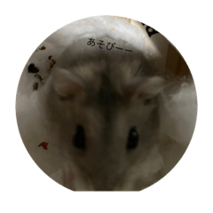 粟玉大好きラテくん