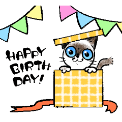 警戒心の強い猫のスタンプ