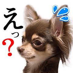 ベルの日常パート①