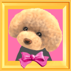 【プードル　Ⅲ】動く！ペットたち