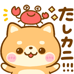 豆柴♡だじゃれ