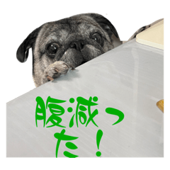 茶々丸と兄妹達