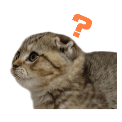 ちゃんぴえスタンプ4