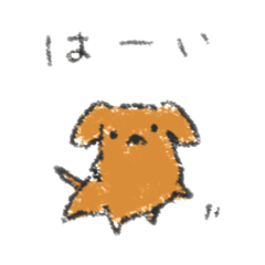 わんこ（ダックス）