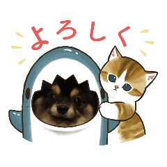 ロコレオスタンプ
