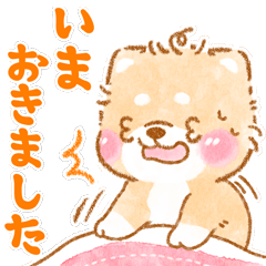 大人の生活❤️いやしばいぬ❤️敬語