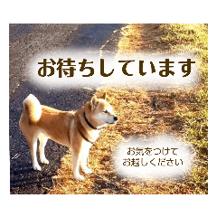 いちの日常会話 敬語