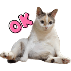 ねこスタンプ！！！