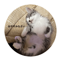 小麦くんの大冒険