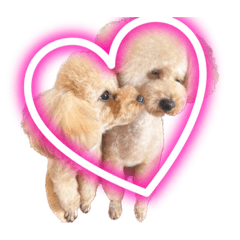 ルシオ♡リアナ♡ルーカス ①