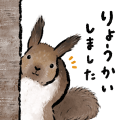 気ままな毎日 / 北の森