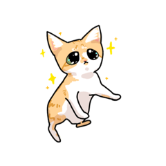 シュールでかわいいねこたち