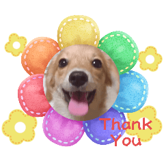 チロルチョコ 感謝 OK