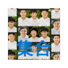 動画でしでしでし