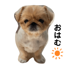 日常むーたんすたんぷ