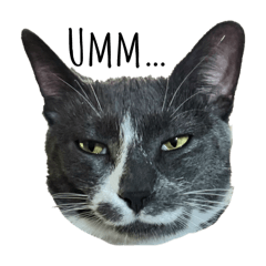 オレオちゃんスタンプ　①