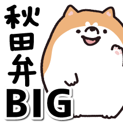 秋田弁 BIGスタンプ