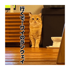 ViViの関西弁スタンプ