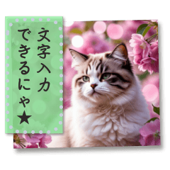 桜満開♥️文字入力できる猫＆付箋メモ