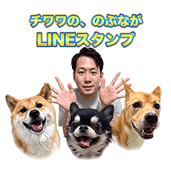 チワワの、のぶながスタンプ