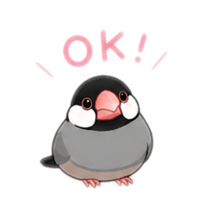 ぶんどり