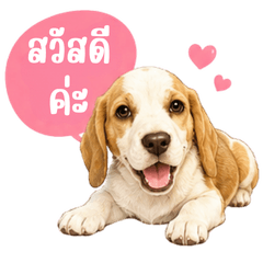 Bai Buth V.1