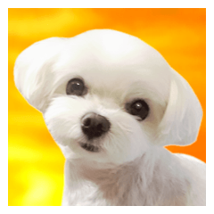 夜明けのマルチーズ４（哀愁の待合せ編）