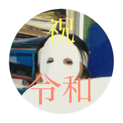 川村家の三姉弟① 日常で使える編