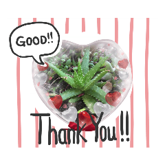 多肉植物で癒されあいさつ