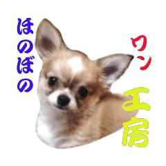 ほのぼのワン工房 第二弾