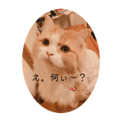 ミルクティ色のLeoくん