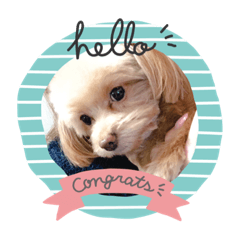 あすかと愉快な仲間たち