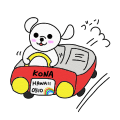 マルチーズ犬コナタソのハッピーライフ