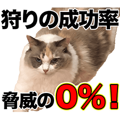 すなぎもちゃんとこむぎこくん