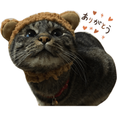 みいちいちゃーむー