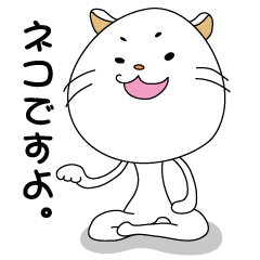 とあるネコの日常