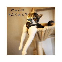 ちゅんはうすスタンプ4