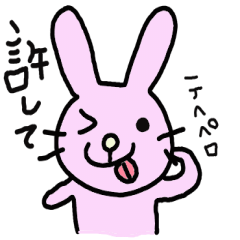 日常生活うさぎ