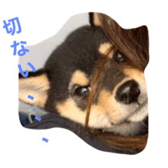 ゴロのつぶやきPart2