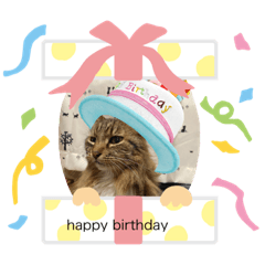 愛しのチェリー君