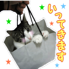 うらりん（かわいい猫の写真スタンプ）