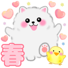 春に使えるポメラニアン「ぽちゃん」
