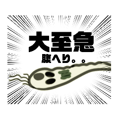 島らっきょうFRIENDS