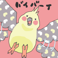 オカメインコのゆるっと小雨さま2