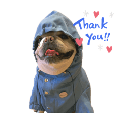 リチャのスタンプ