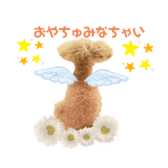 17歳で天使になったおばあわんココ②